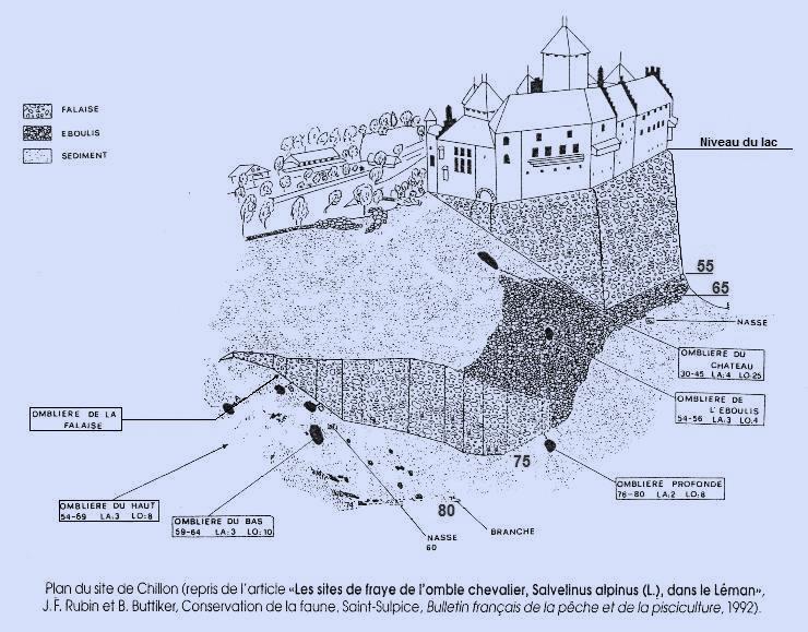 Château de Chillon Sud